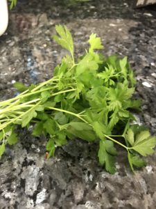 How to Dry Parsley Step 1: Cut the longest stalks from your parsley plant. 